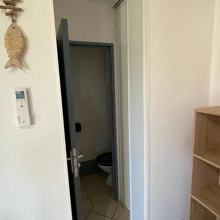 T3 Climatisee Pour 6 Avec Piscine Et Parking Au Cap D'agde - Fr-1-607-239 アグド
