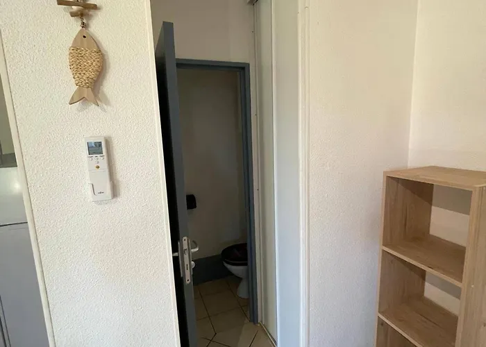 T3 Climatisee Pour 6 Avec Piscine Et Parking Au Cap D'agde - Fr-1-607-239 Agde